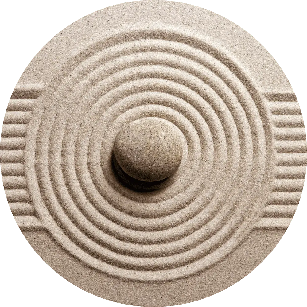 Régulation du système nerveux : comprendre le stress et le rôle de la forêt 3