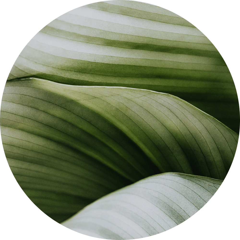 un esprit clair, apaisé, présent