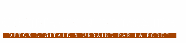 logo connexion primaire blanc sur transparent