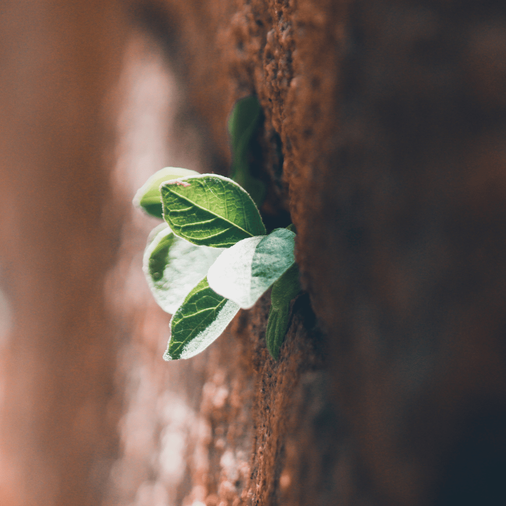 illustration accomagnement