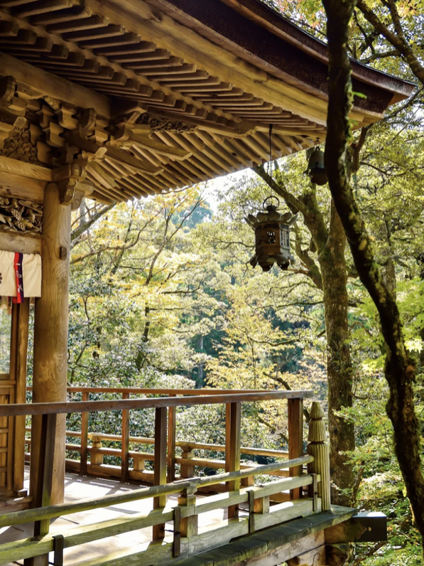 capture d’écran 2026 01 15 à 19.31.12