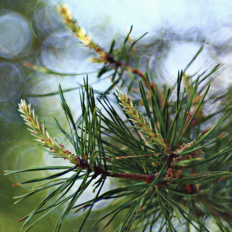 capture d’écran 2026 01 15 à 19.41.04