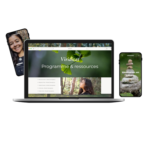 Accompagnement En Ligne