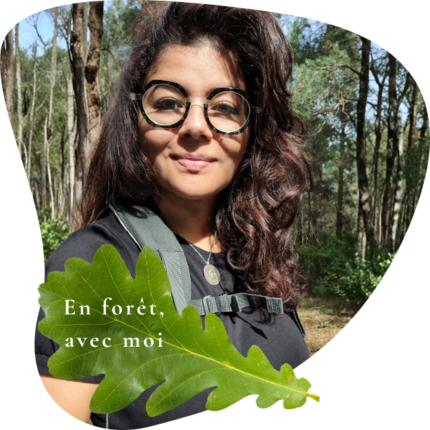 en foret avec aurore